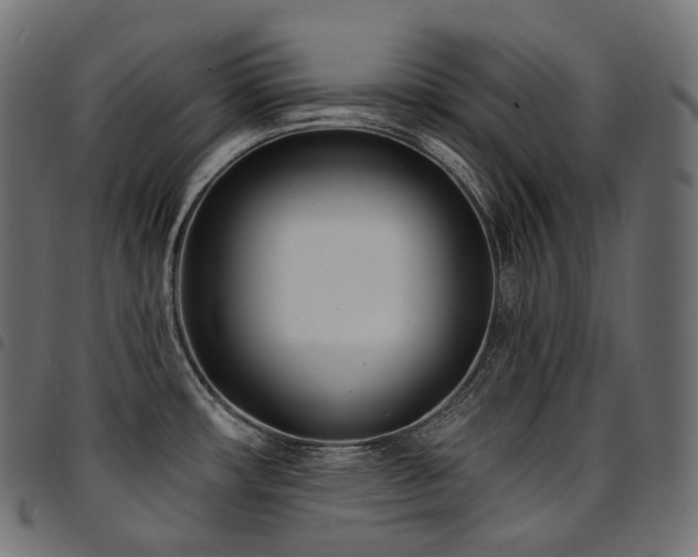 X0000094921482200711291301