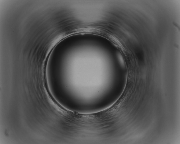 X0000094921483200711291301