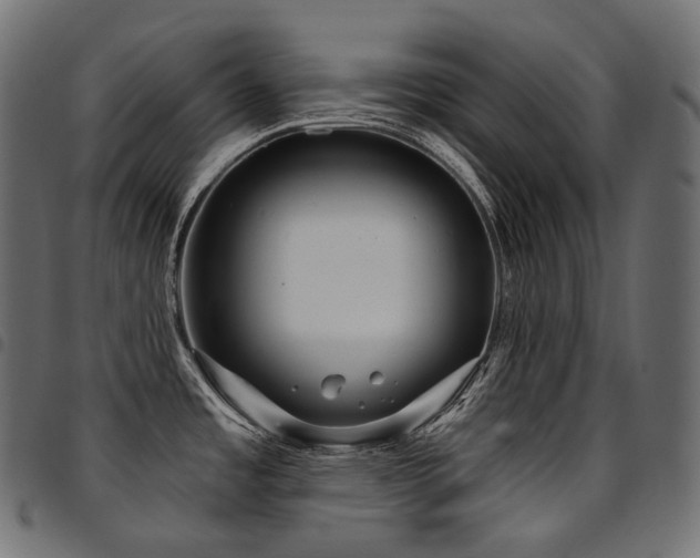 X0000094921485200711291301