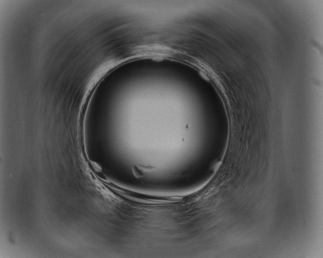 X0000094921488200711291301