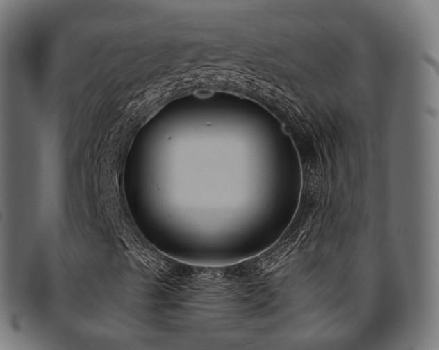 X0000094921489200711291300