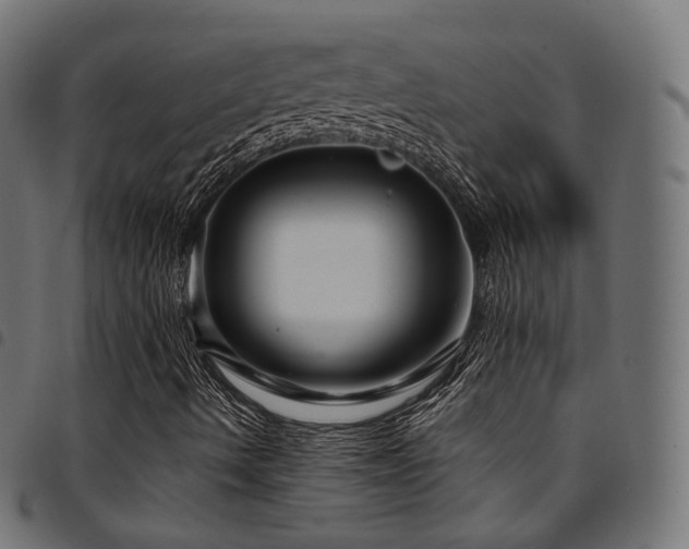X0000094921490200711291300