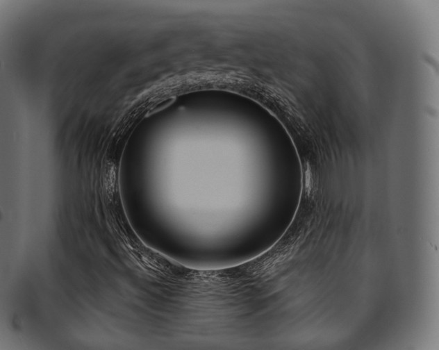 X0000094921492200711291300