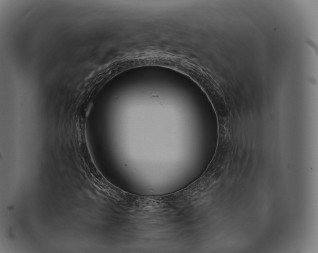 X0000094921493200711291300