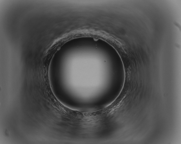 X0000094921494200711291300