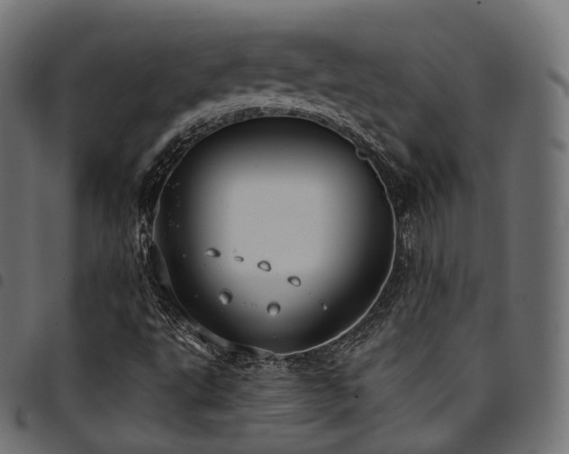 X0000094921495200711291300
