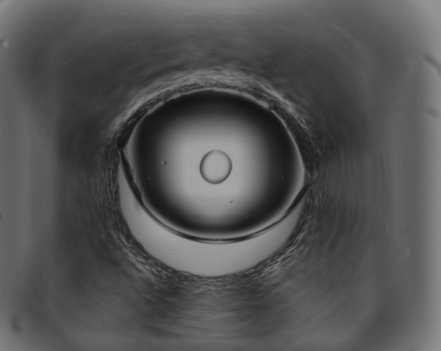 X0000094921496200711291300