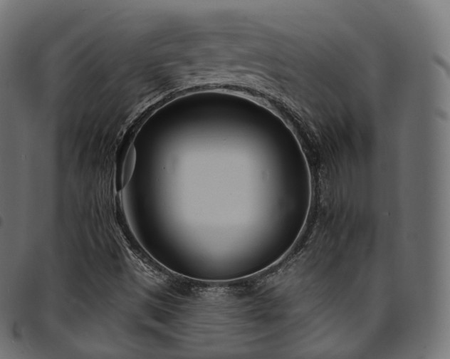 X0000094921497200711291300