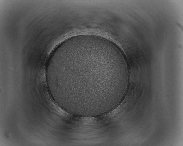 X0000094921498200711291300