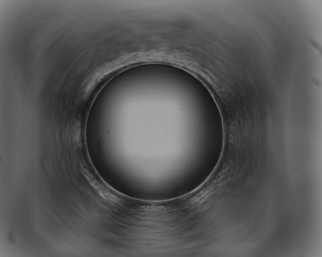 X0000094921499200711291300
