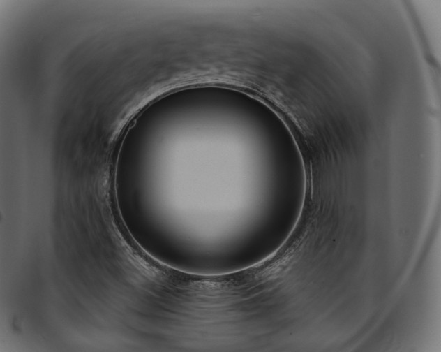 X0000094921500200711291300