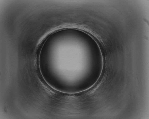 X0000094921502200711291300