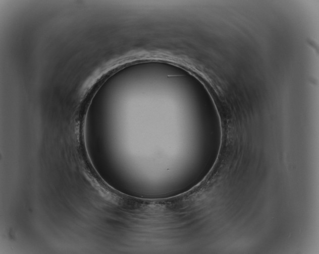 X0000094921503200711291300