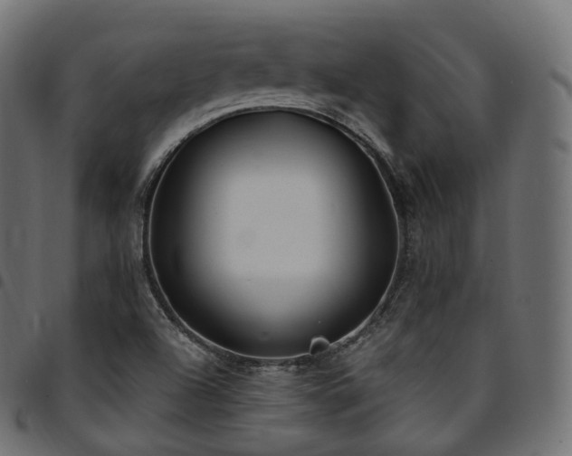 X0000094921504200711291300