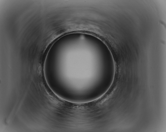 X0000094921505200711291300