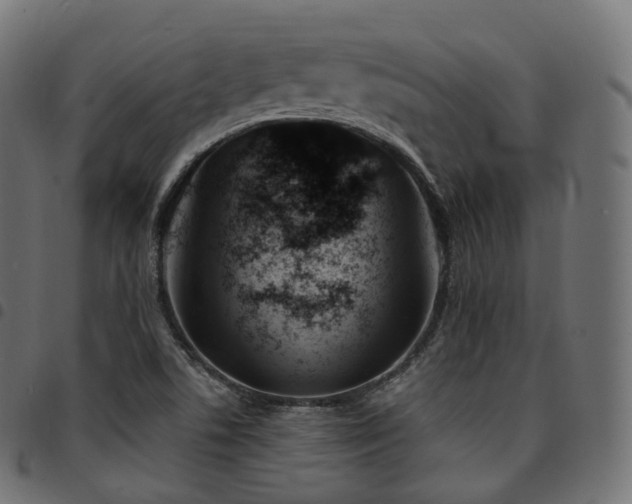 X0000094921506200711291300
