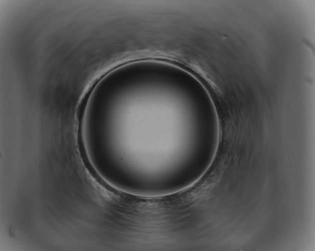 X0000094921508200711291300