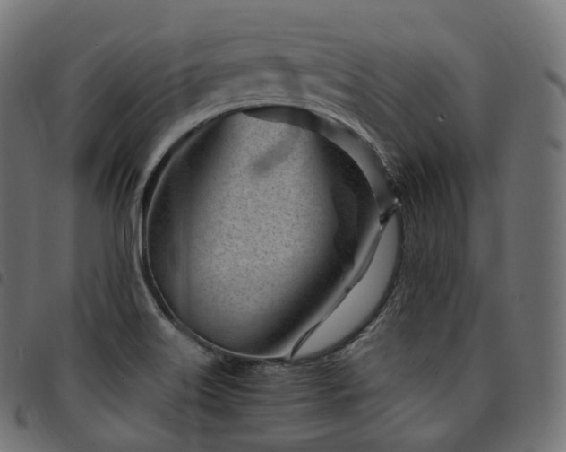 X0000094921515200711291300