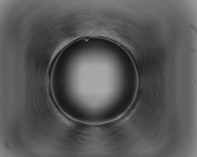 X0000094921517200711291300