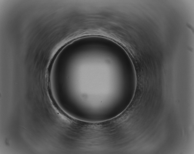 X0000094921519200711291300