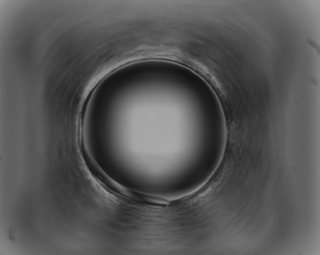 X0000094921520200711291300