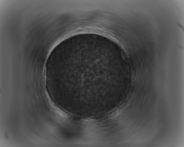 X0000094921522200711291300
