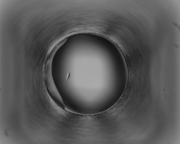 X0000094921524200711291300