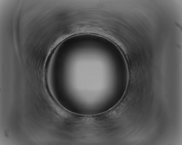 X0000094921525200711291300