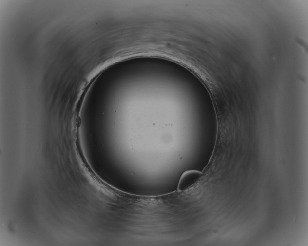 X0000094921526200711291301