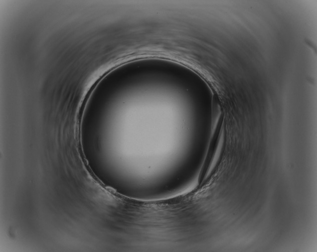 X0000094921527200711291301