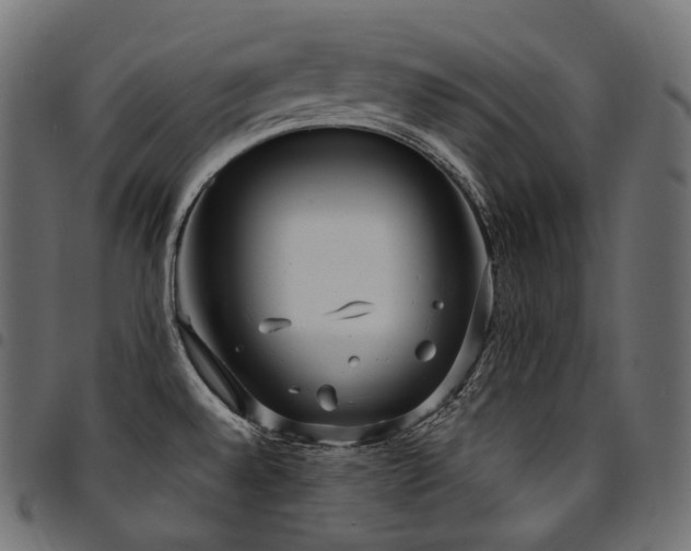 X0000094921528200711291301