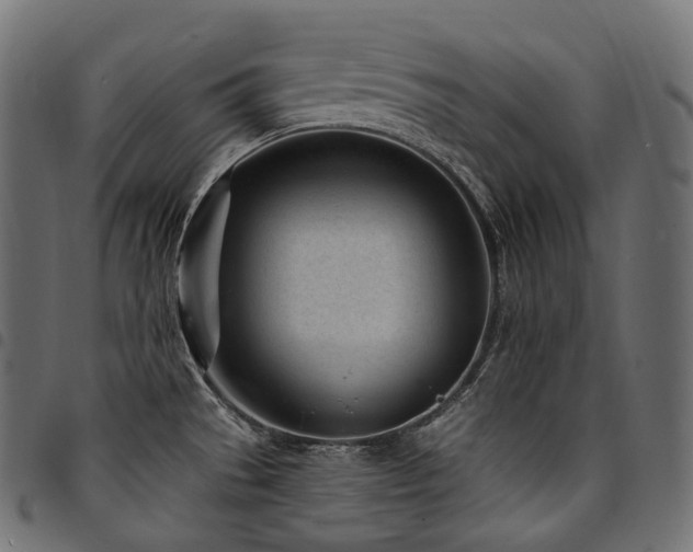 X0000094921529200711291301