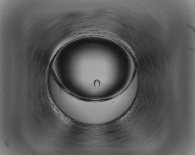 X0000094921530200711291301