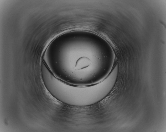 X0000094921532200711291301