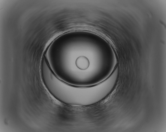 X0000094921533200711291301