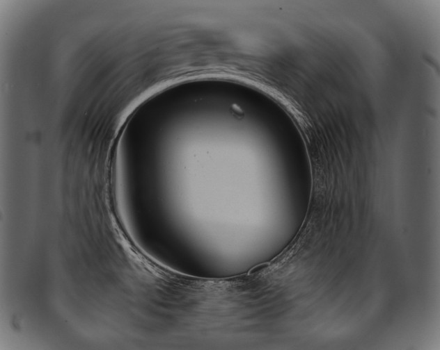 X0000094921534200711291301