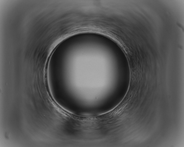 X0000094921535200711291301