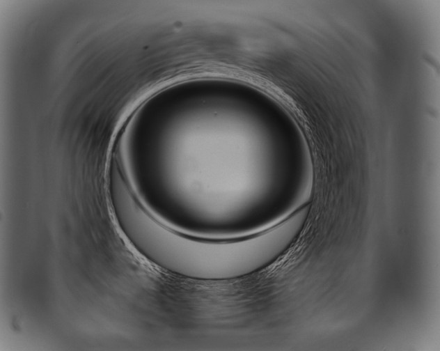 X0000094921536200711291301