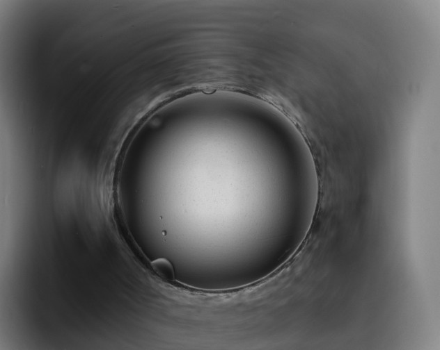 X0000094920002200712061118