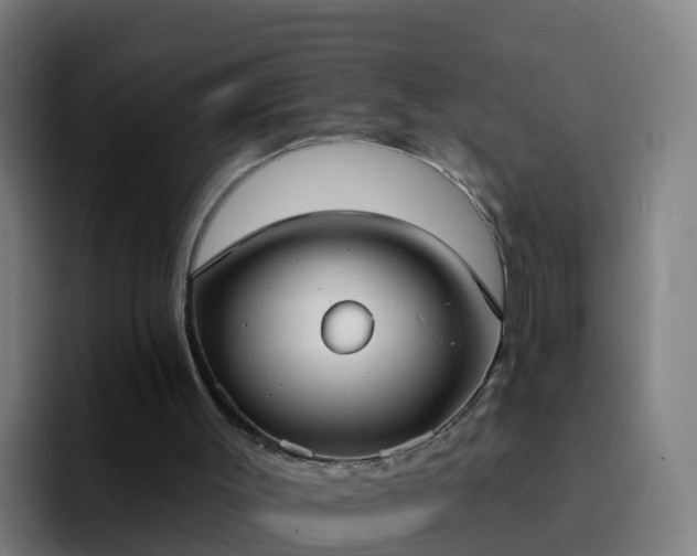 X0000094920003200712061118