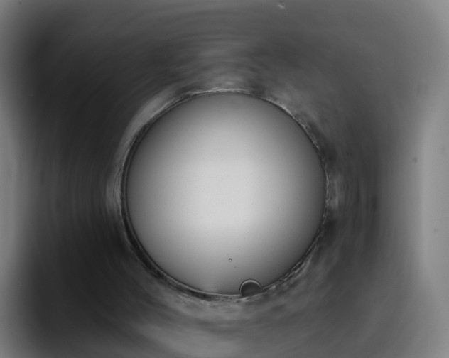 X0000094920004200712061118