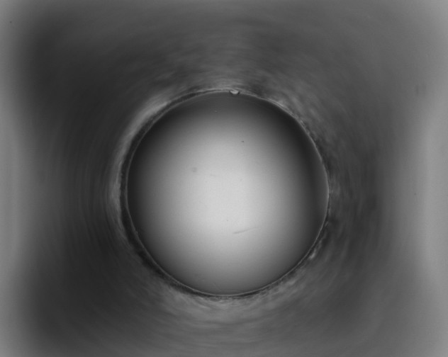 X0000094920006200712061118