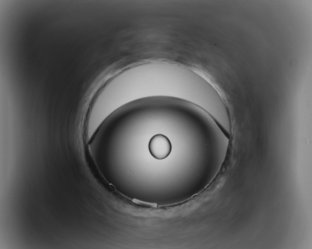 X0000094920007200712061118