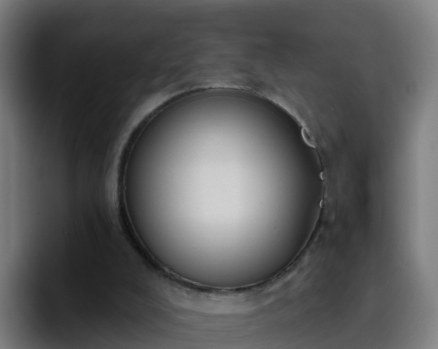 X0000094920008200712061118