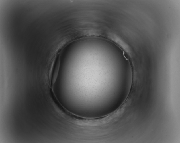 X0000094920009200712061118