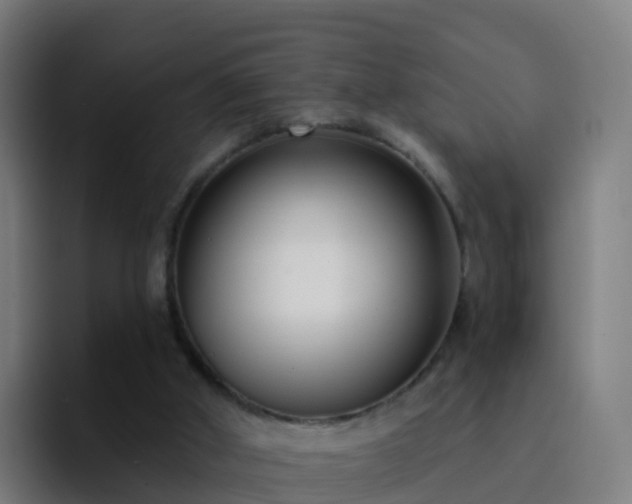 X0000094920010200712061118