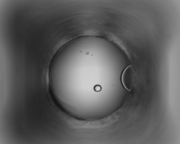 X0000094920011200712061118