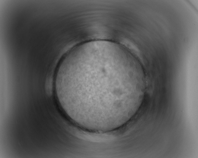 X0000094920012200712061118