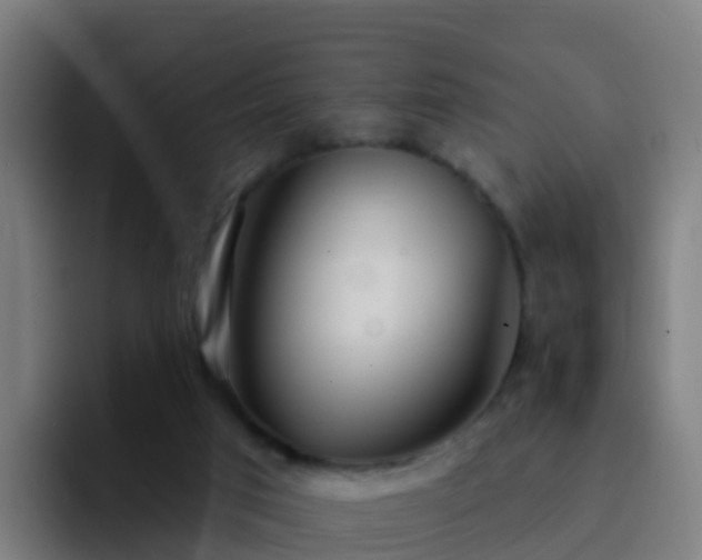 X0000094920017200712061118