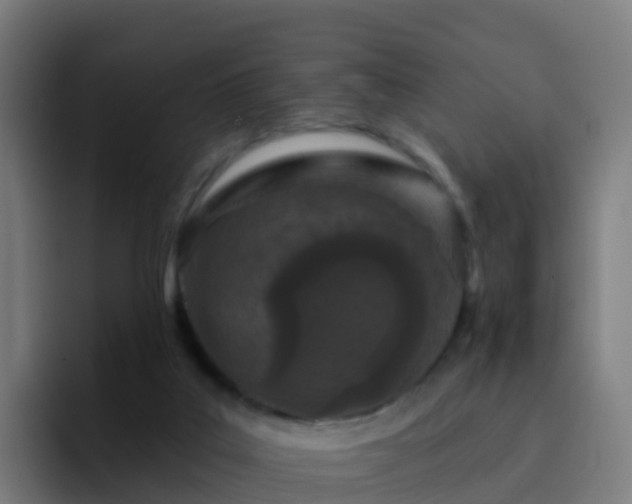 X0000094920019200712061118